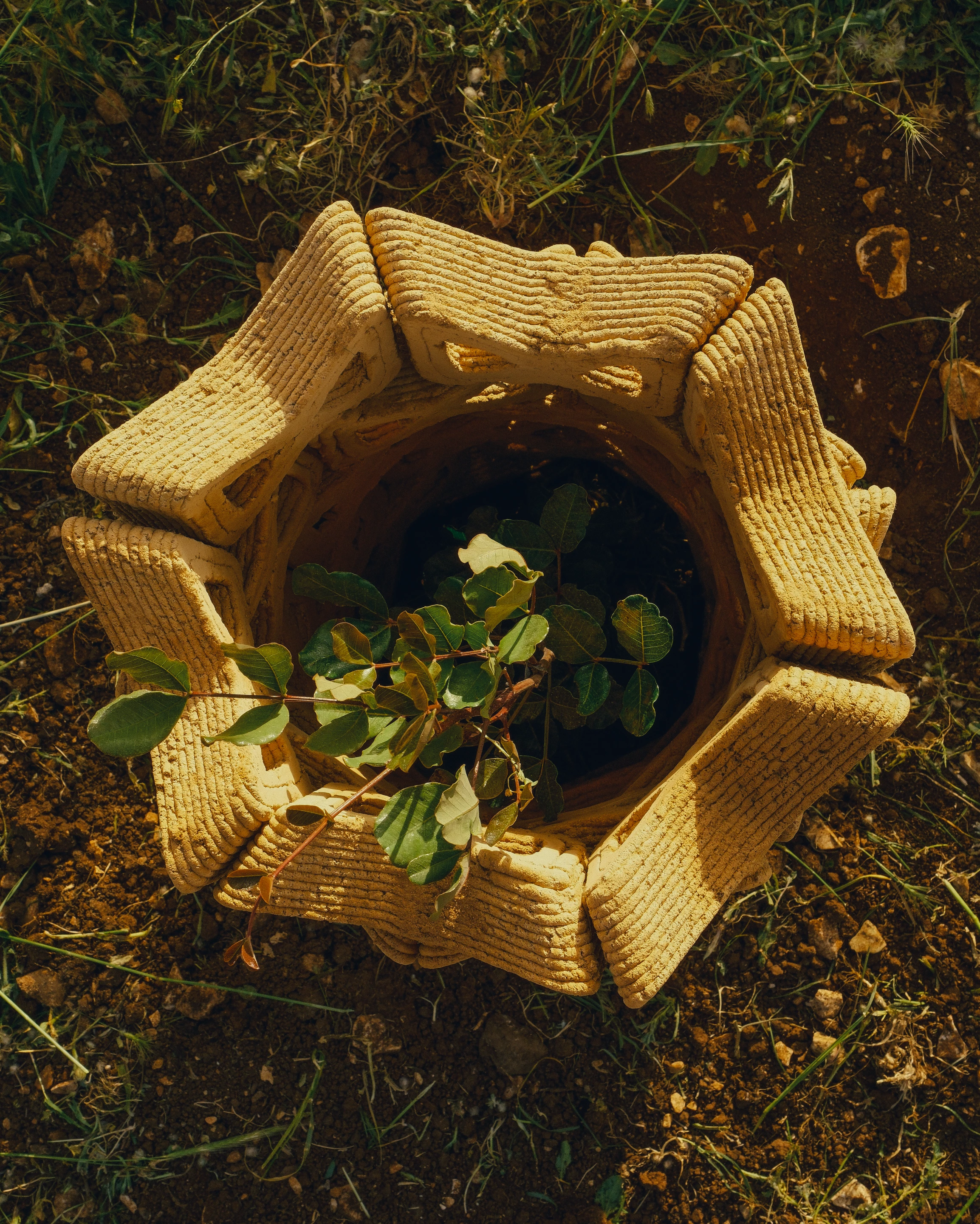 Its geometry channels airflow, moderates sunlight, and slows the evaporation of moisture