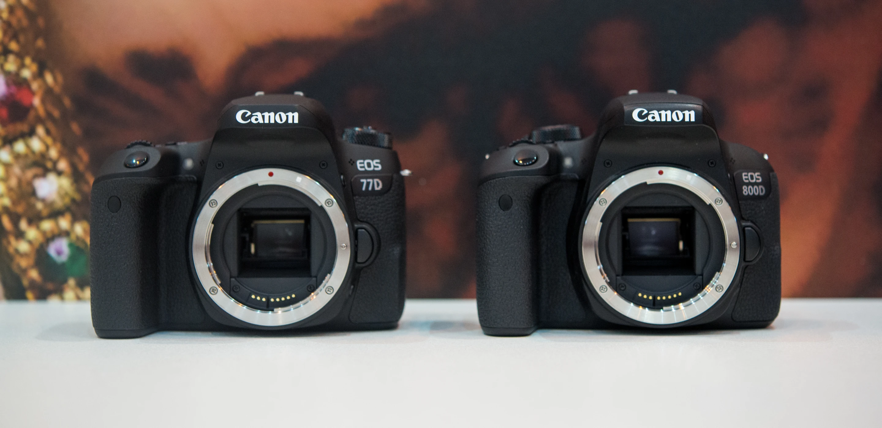 The Canon EOS 77D (left) and Canon EOS 800D (also known as the Rebel T7i) are a pair of mid-range DSLRs