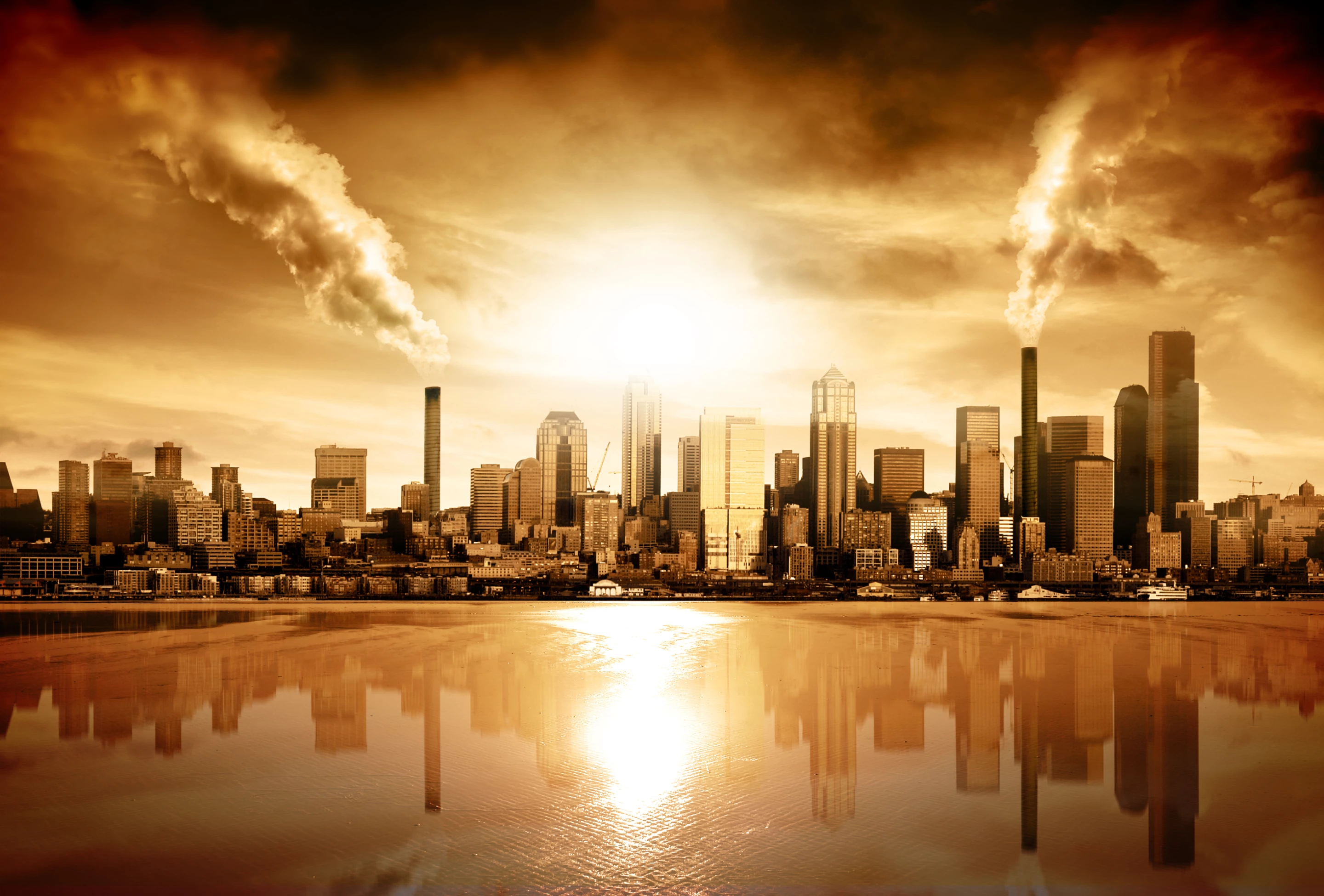 The findings of a new study are some of the first to link exposure to air pollution with gut microbiome development in infants