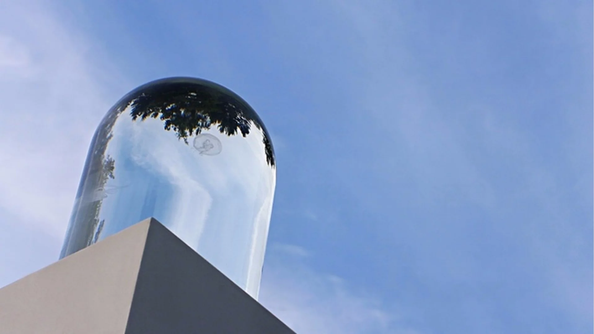 The Darwin Tank's optional base