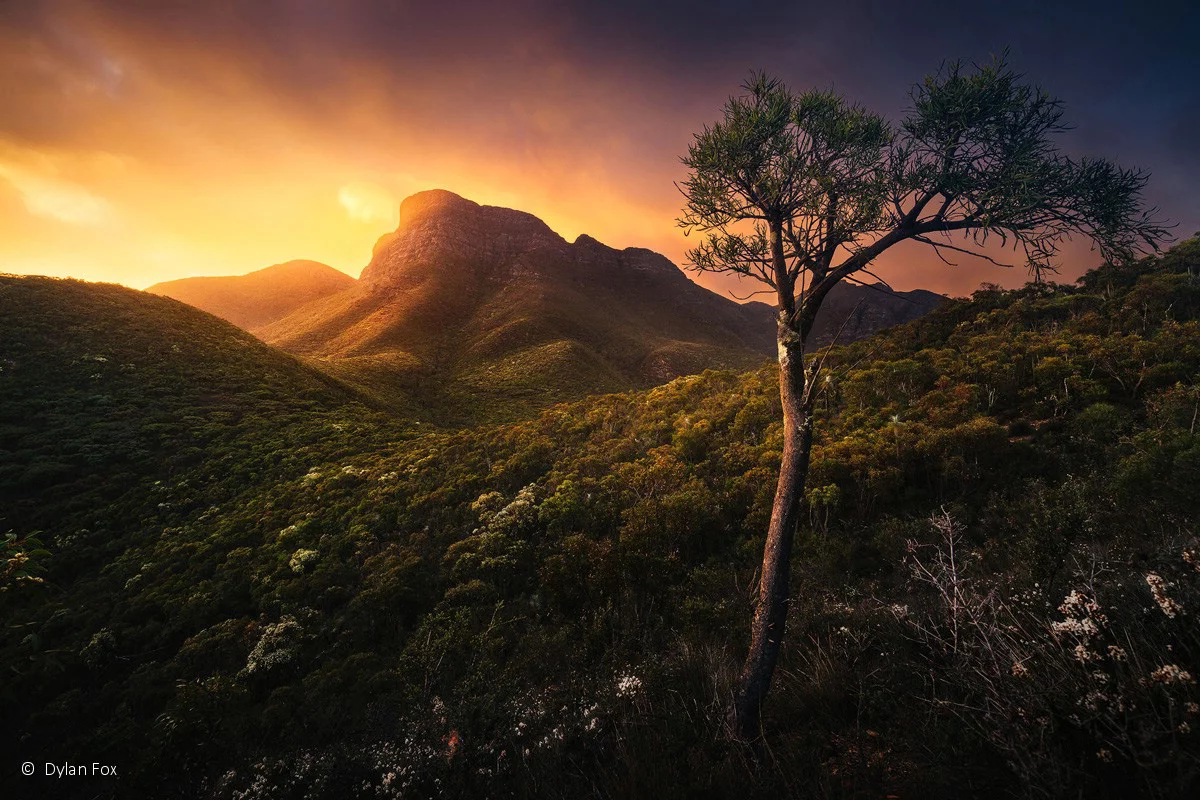 Landscape winner: Early elation, by Dylan Fox – the sun rises over Bluff Knoll in Western Australia