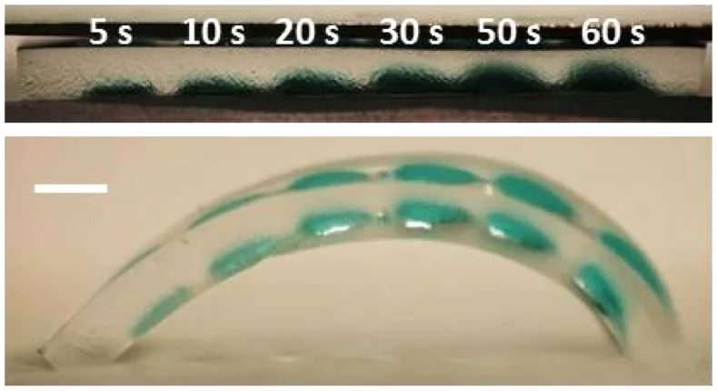 Copper ions injected into the hydrogel allow the degree of gel curvature to be dynamically controlled by an electrical current