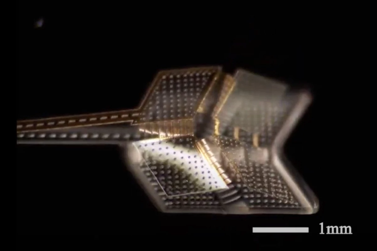 An example of the new folding microbots developed at the University of Michigan