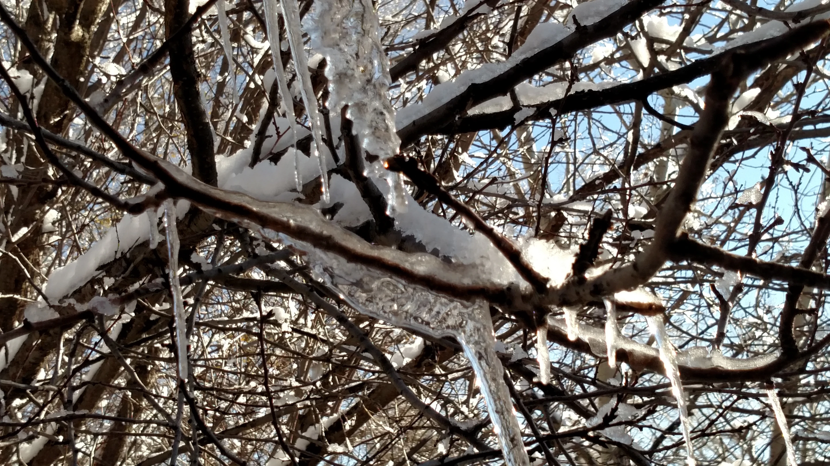 Neither auto-focus nor digital zoom are perfect (Photo: Eric Mack/Gizmag.com)