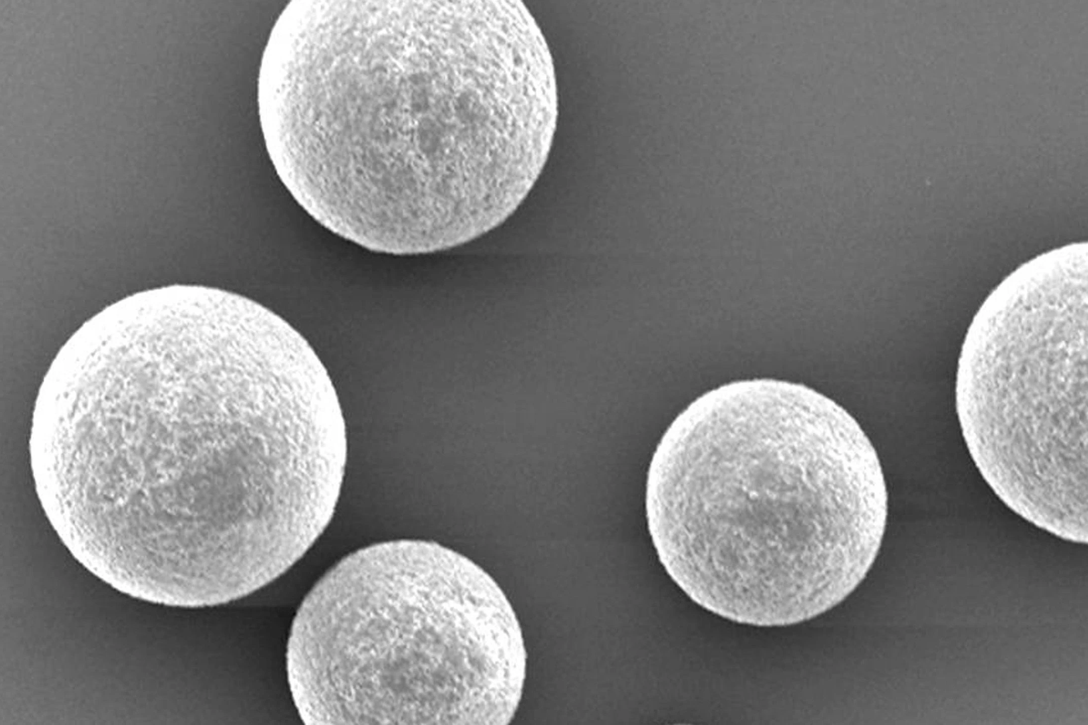 A scanning electron microscope image of the BioBullets