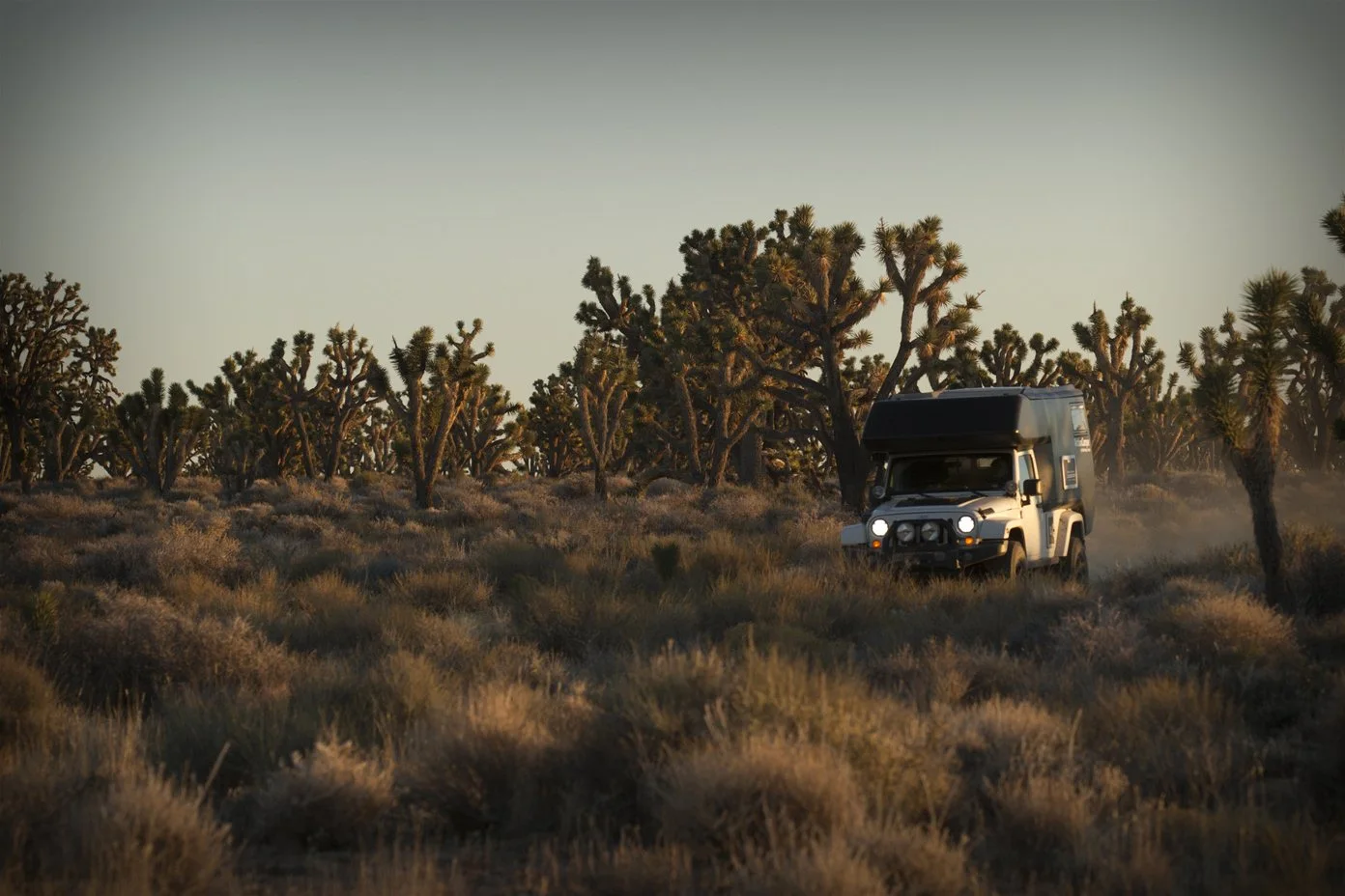 The Action Camper tackles cacti and desert sun
