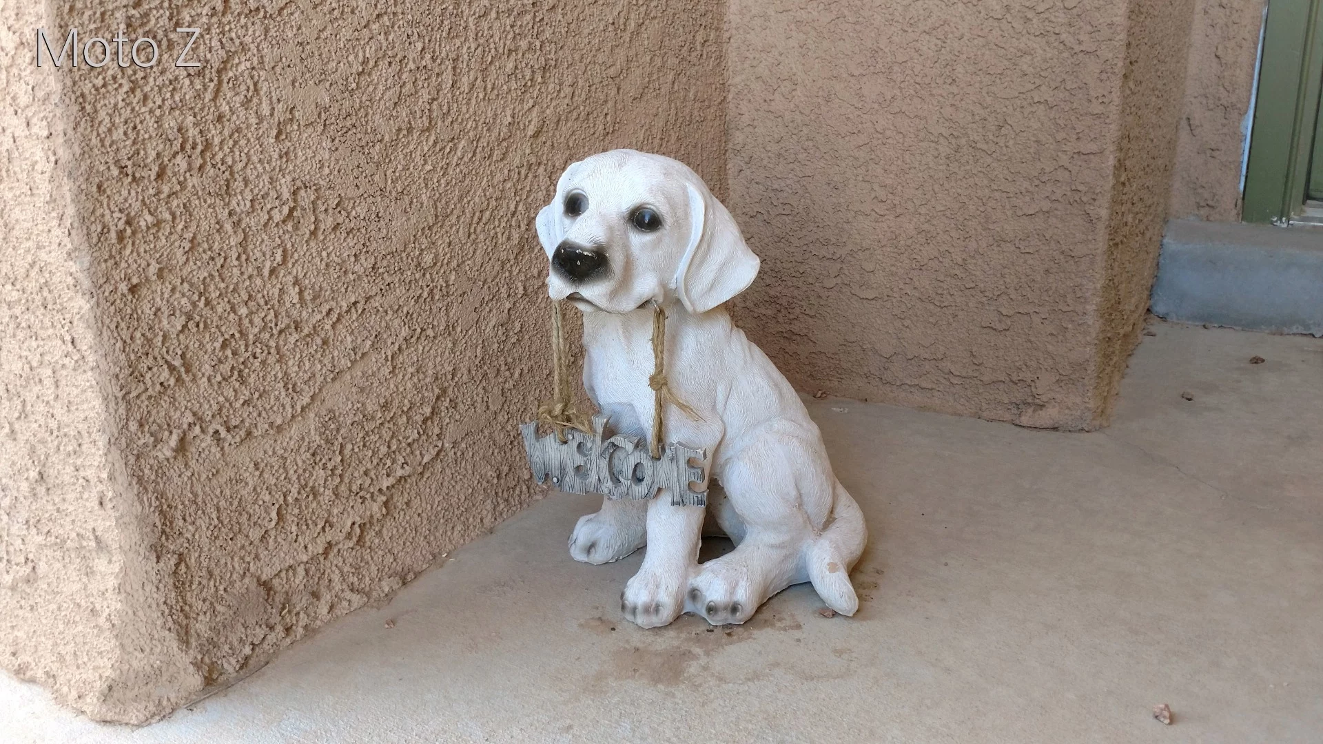 Moto Z Droid camera sample: Outdoors, indirect light