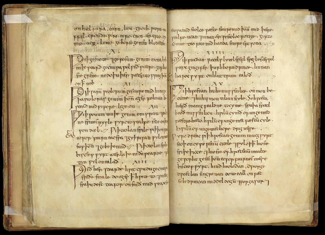 Bald's Leechbook is estimated to have been compiled in the ninth century
