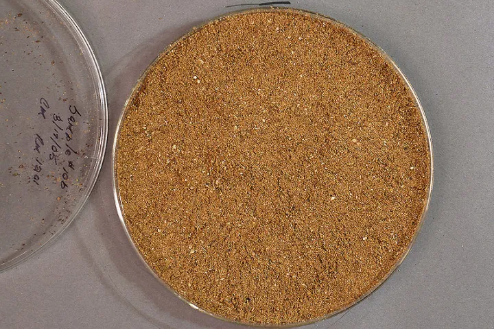 Meat and bone meal (pictured above) has been used to create partially-biodegrable bioplastic