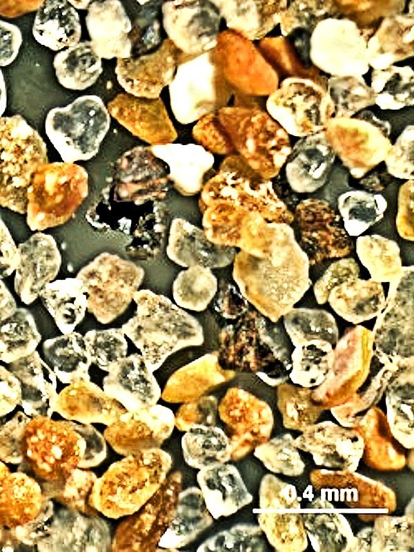 Omaha Beach sand seen through a binocular microscope. Pastel grains are carbonate rock fragments, carbonate skeletal grains, and iron-oxide coated quartz grains. Rust coated shrapnel grains are visible in the center of the photo. (Mean grain size = 0.2 mm.) (Photo: Earle F. McBride/M. Dane Picard)