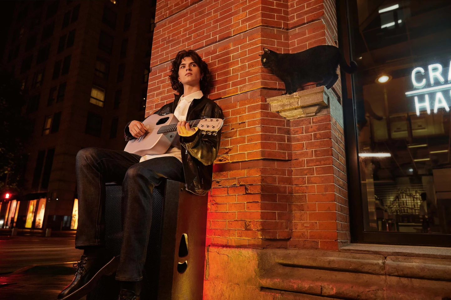"Oh nothing, just sitting on a speaker on an empty, rainy street at night, looking all windswept and interesting as I play my pink carbon smart guitar for this cat. You?"