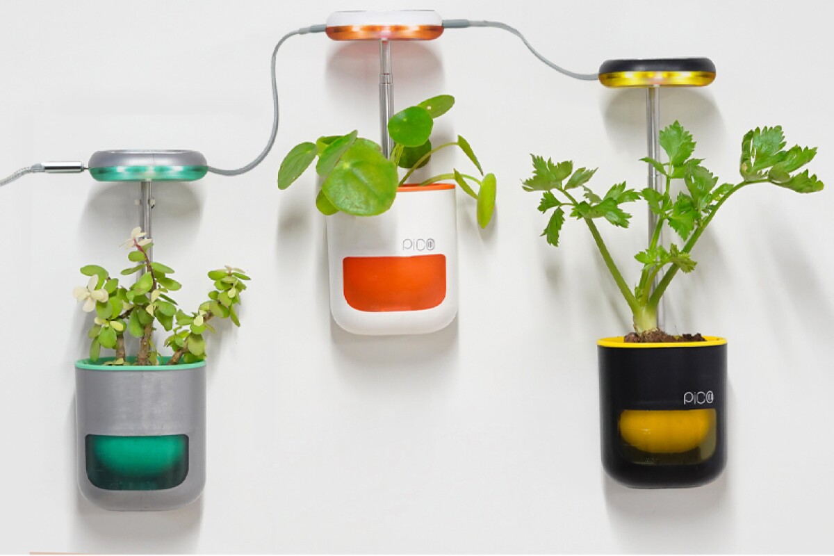 Pico is currently on Indiegogo