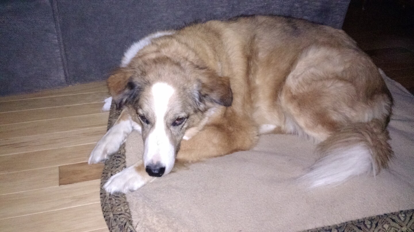 A low light shot captured with the ring flash on the Moto X (Photo: Eric Mack/Gizmag.com)