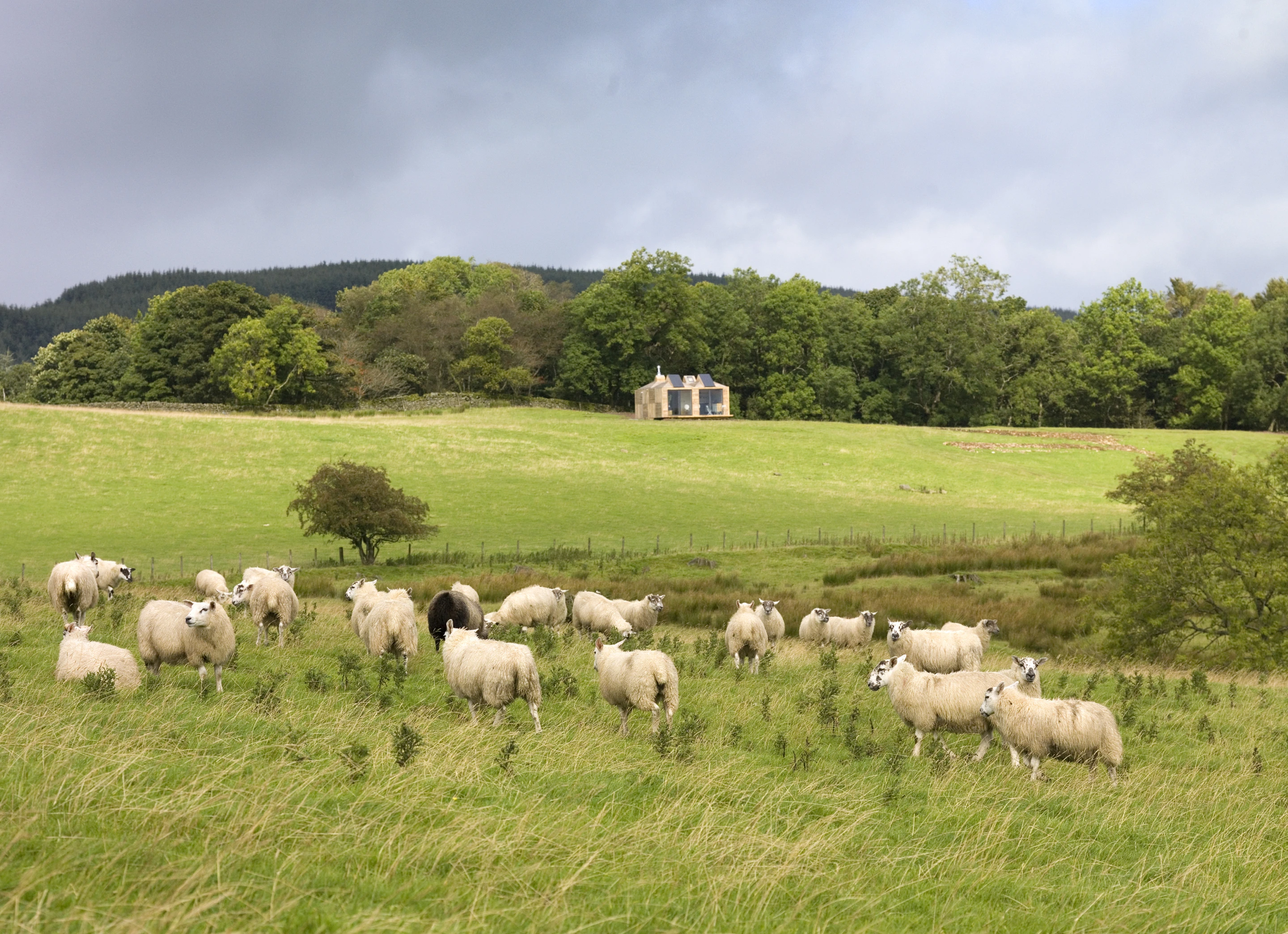 Exterior shot of the Brockloch Bothy holiday home (Photo: Echo)