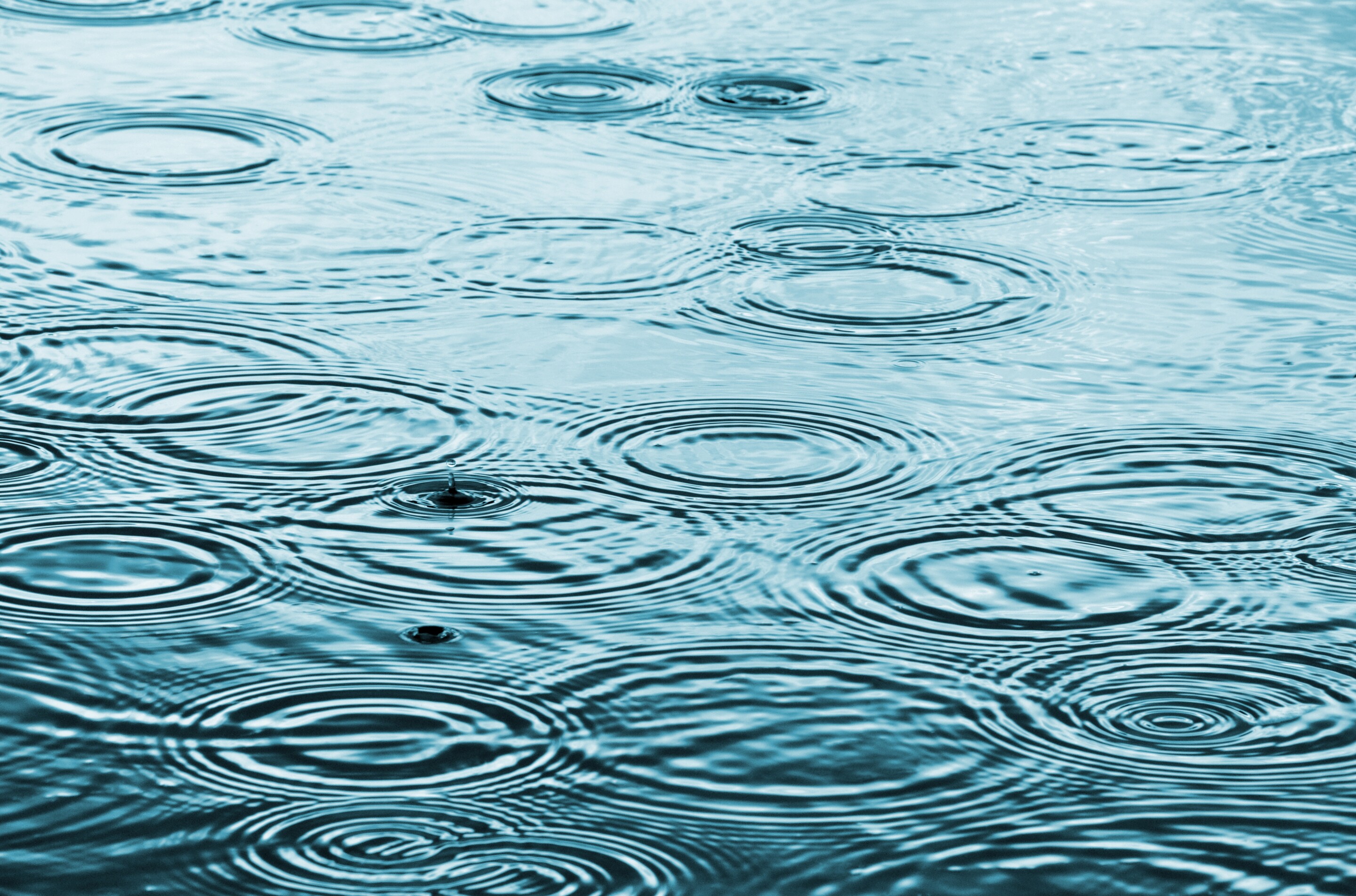Rainwater is unsafe to consume : Study