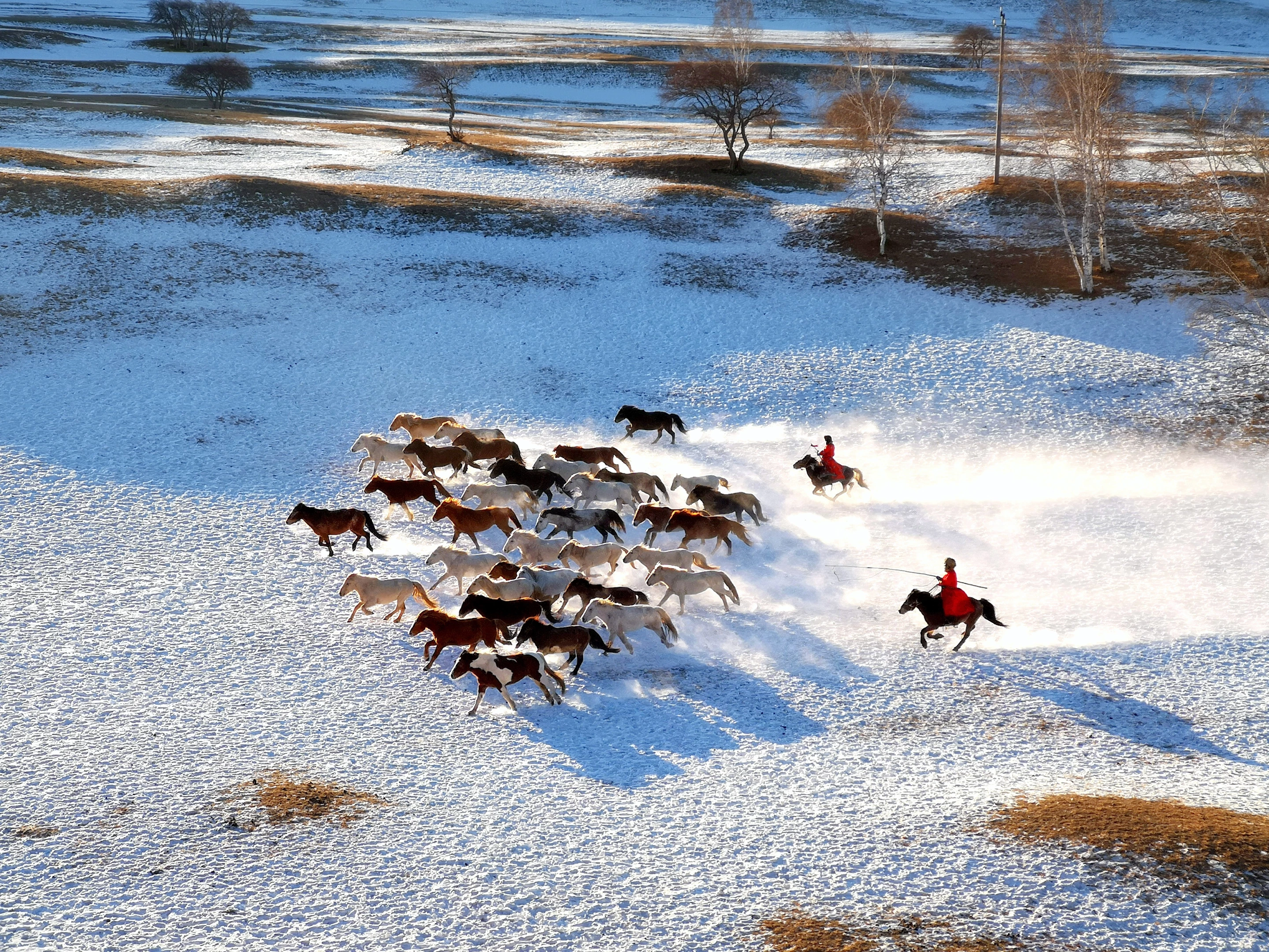 Finalist, Mobile. "Horse Racing"