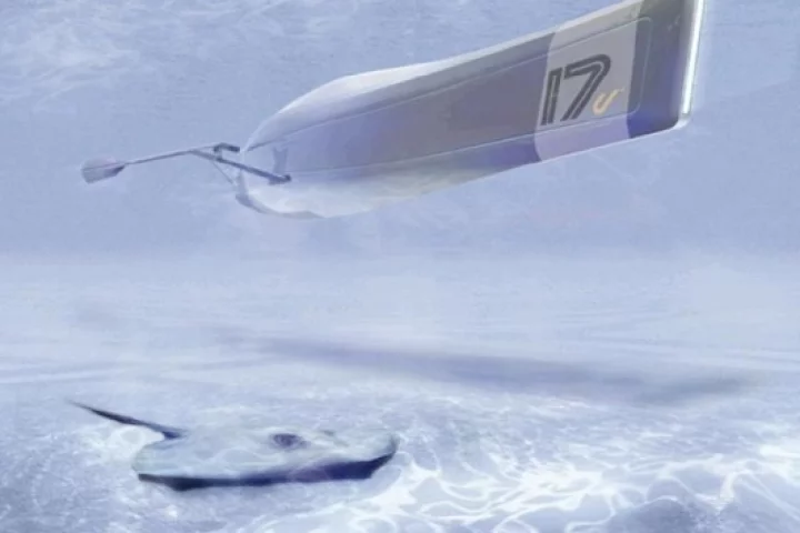 An early prototype in the design process, without the sophisticated oar-structure