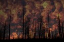 The current version of the device detects the carbon monoxide levels and high temperatures associated with fires