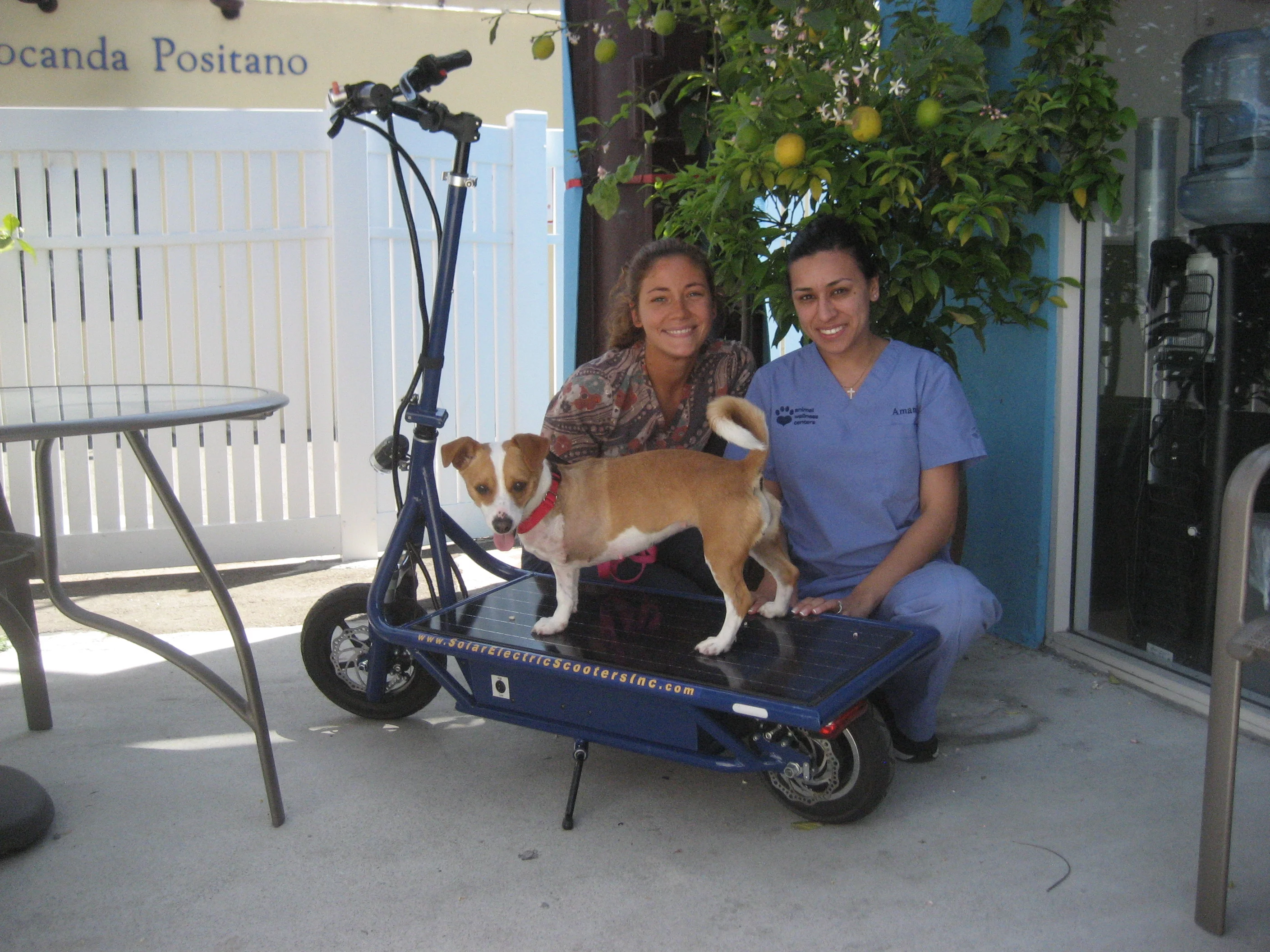 The SES team visit the Animal Wellness Center in Marina Del Ray