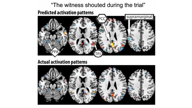 After being trained on 239 sentences and their accompanying brain activation patterns, the algorithm was able to accurately predict the activation pattern of the last sentence