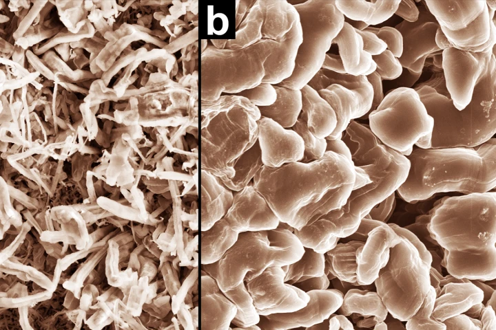 Scanning electron microscope images that show how normal electrolyte promotes dendrite growth (a, left), while PNNL’s new electrolyte produces smooth nodules that don’t short-circuit cells (b, right)