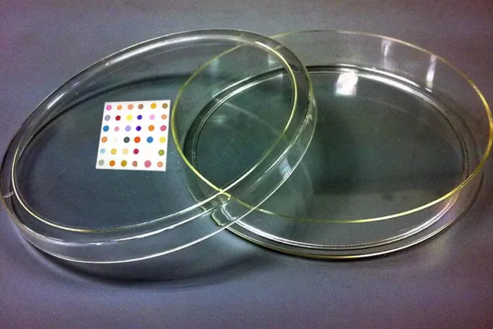 A chemist has developed an 'artificial nose' system, that can identify infectious bacteria based on the airborne chemicals that they produce (Photo: K.S. Suslick)