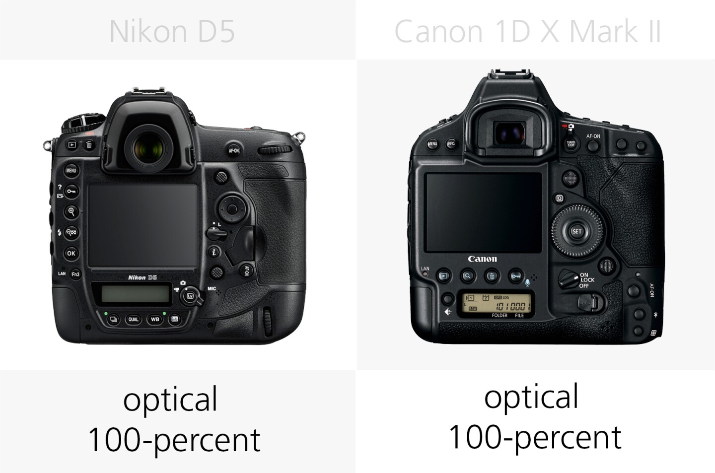 Viewfinder comparison of the Nikon D5 and Canon 1D X Mark II