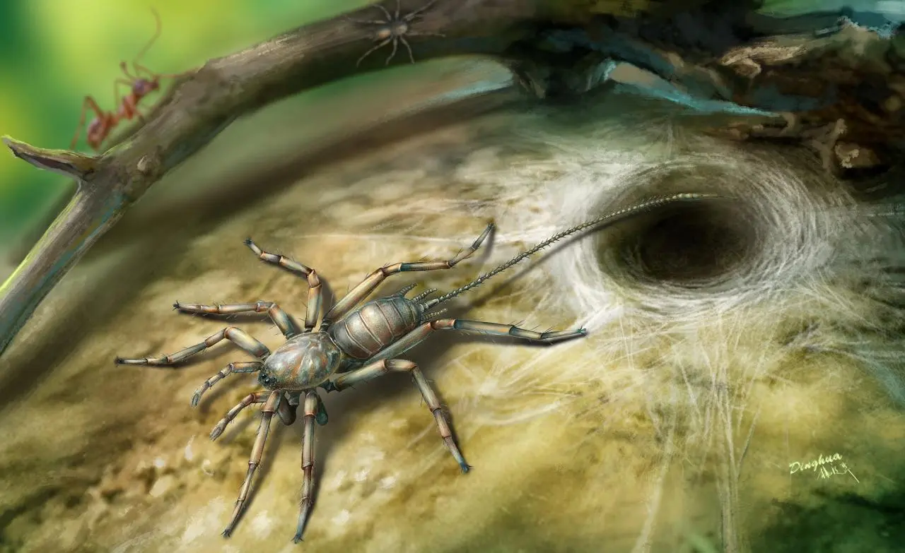 Chimerarachne is a newly-discovered species of ancient spider that sports a tail