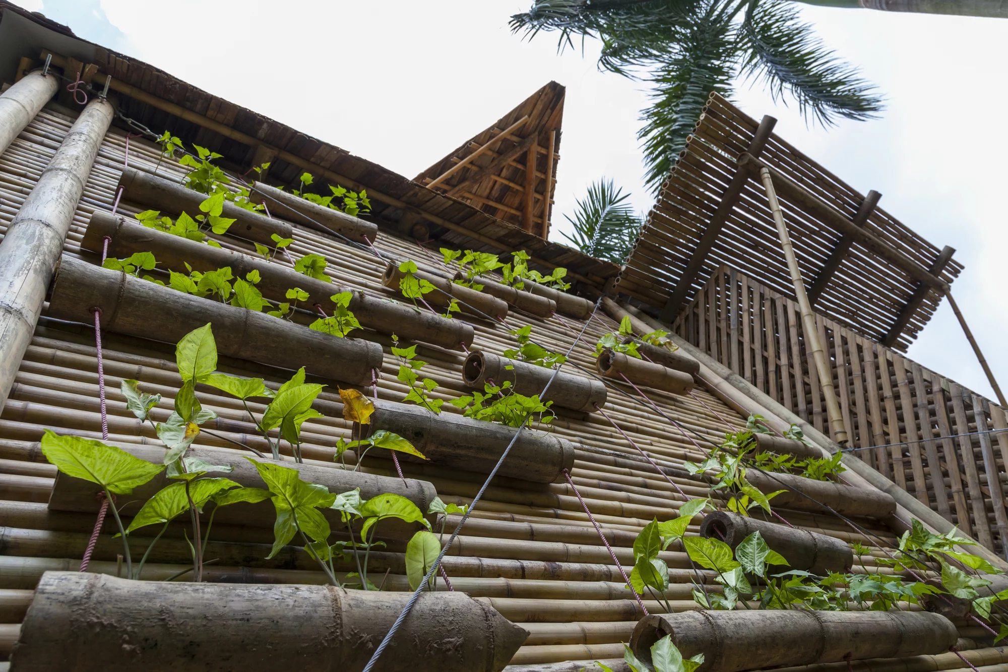 Blooming Bamboo is expected to be produced at a cost of just US$2,500 (Photo: Doan Thanh Ha)