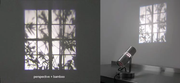 A window frame and stirring branches projected by Adam Frank's REVEAL