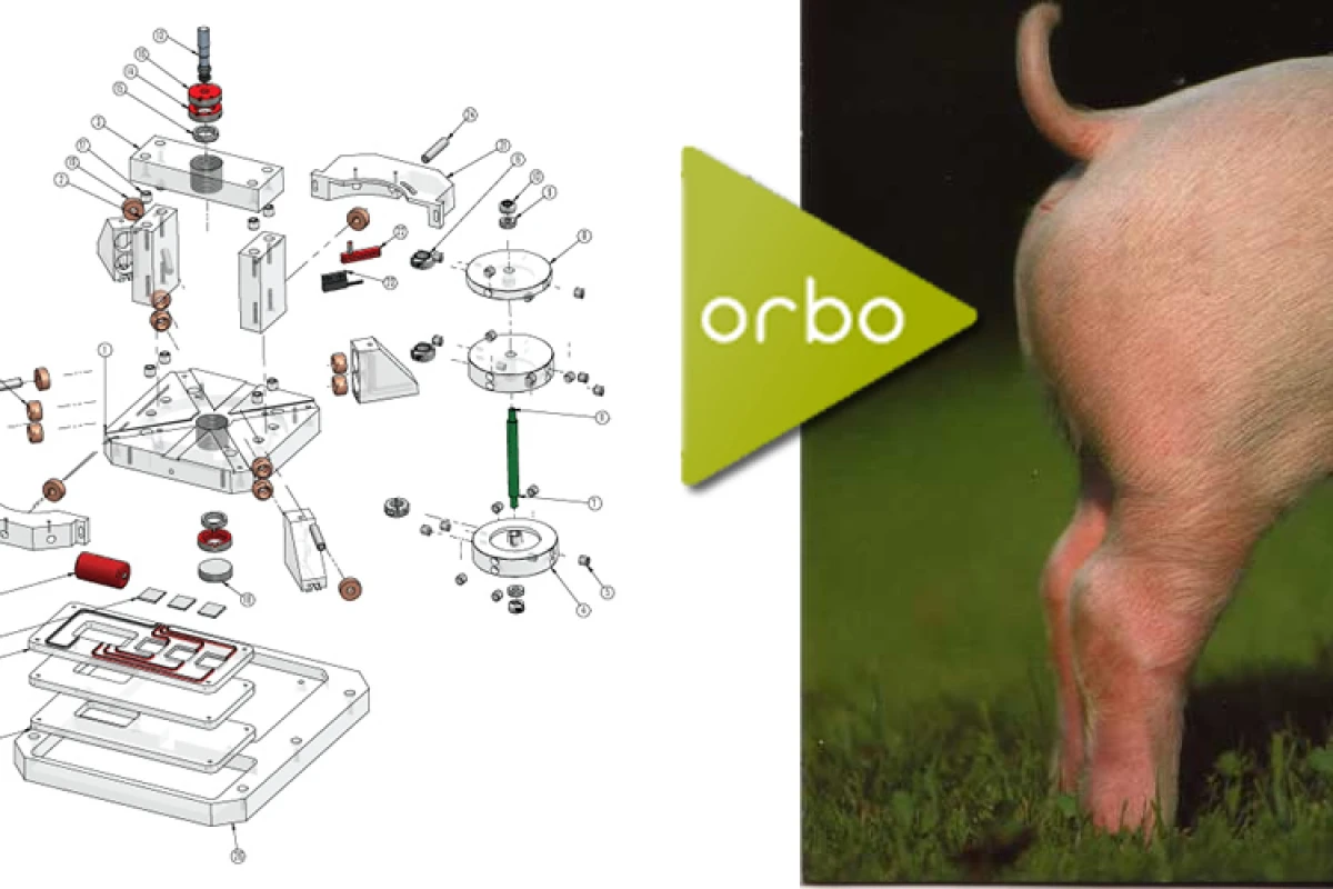 Steorn's Orbo device, exploded, and our reaction to it.