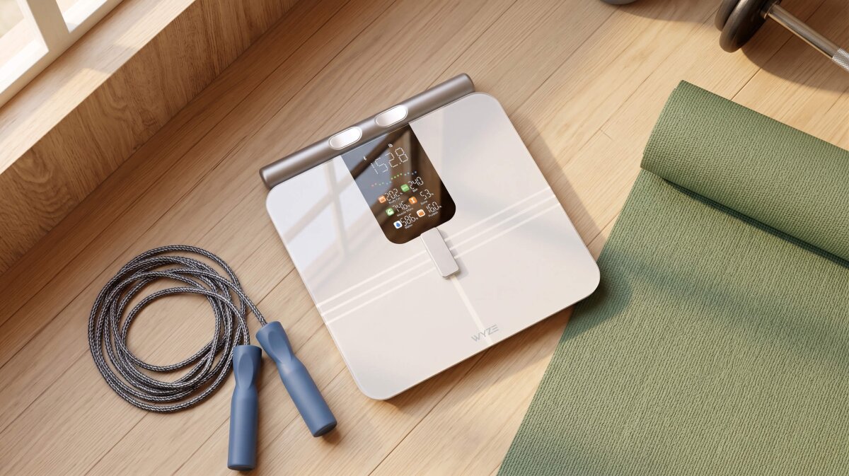 $80 smart scale maps body fat and muscle by body part