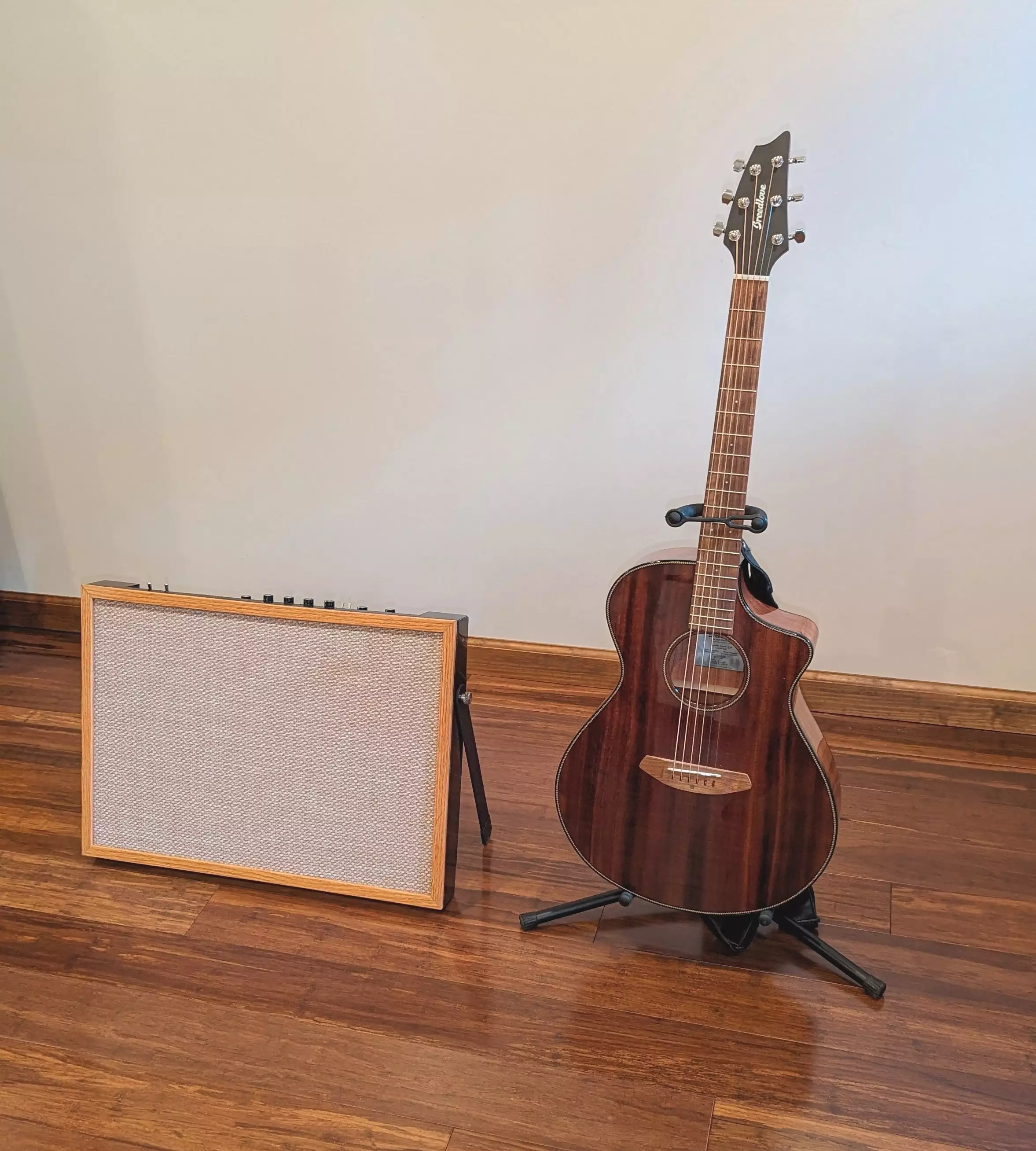 The Model 22: half the size of the Model 20 and much lighter, but louder, more powerful and with a built-in 350 W power amp, plus preamp and cab sound modelling in addition to FRFR speaker capability