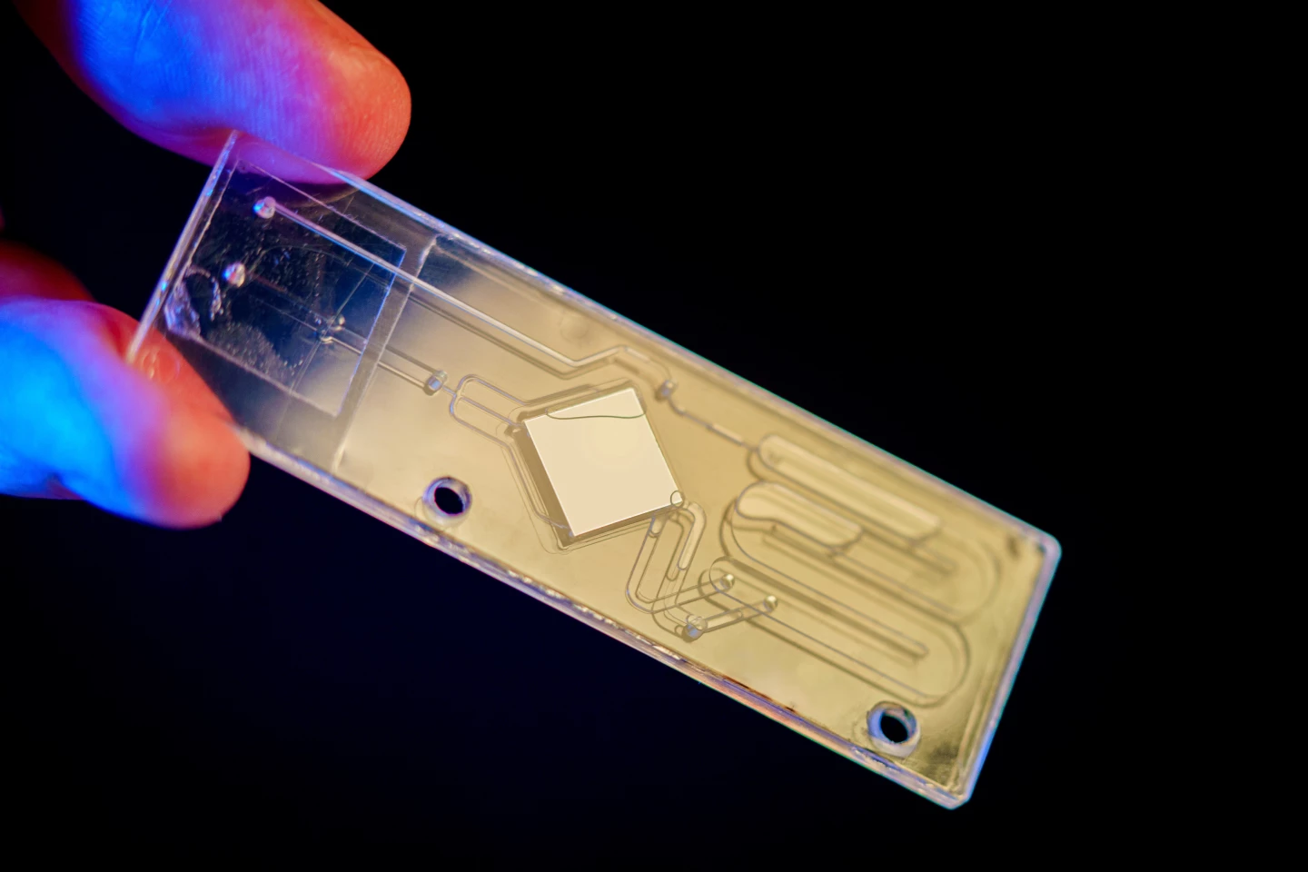 A closer look at the microfluidic chip