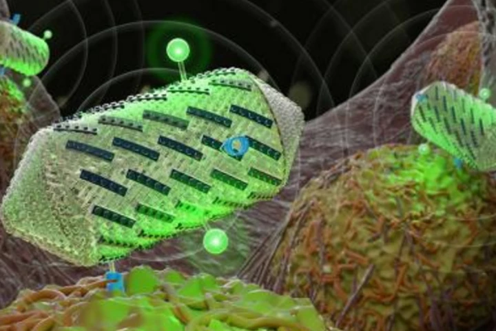 The researchers adjusted a protein on the shell of the nanostructures, operning the door to color ultrasound images