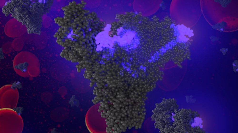 The engineered fat molecules hiding chemotherapy drugs, tricking the tumors into eating the fat