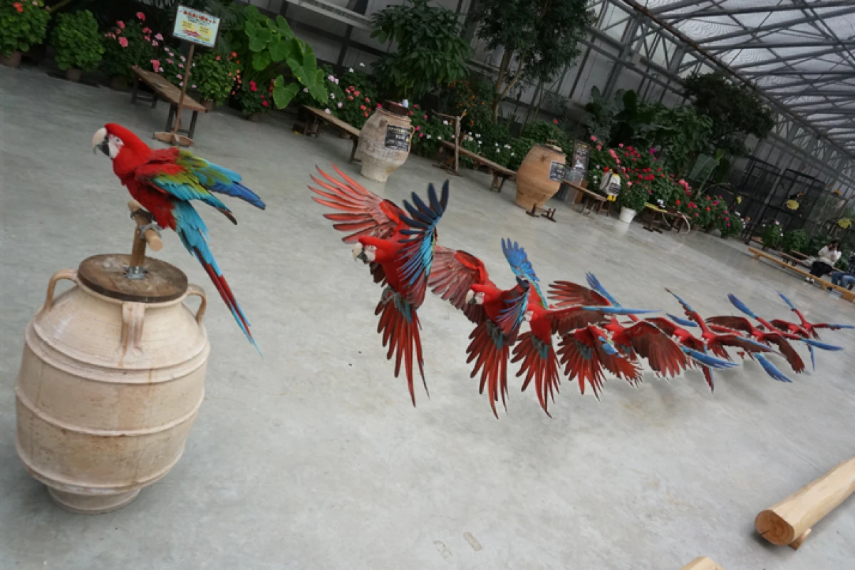 The Motion Shot PlayMemories Camera App from Sony identifies the moving subject in a high-speed burst of frames and merges them into a single image
