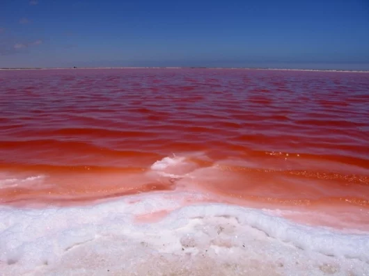 A salt lake in Namibia - makes you just want to jump right in doesn't it?Pic Credit: Dr. Karsten Kotte/Universität Heidelberg