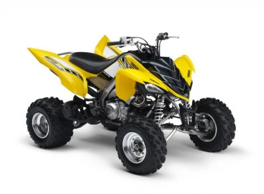 The Yellow and black anniversary model