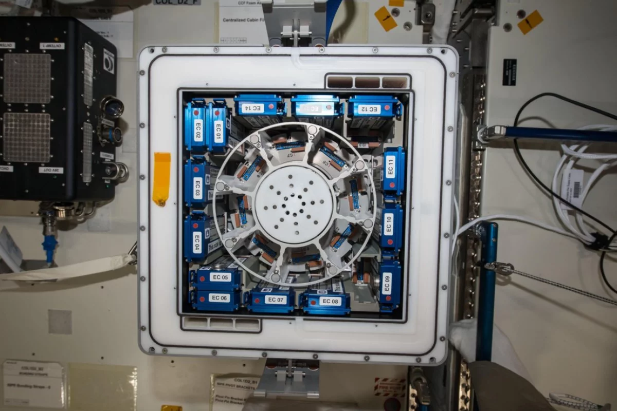 The Kubik incubator on the ISS