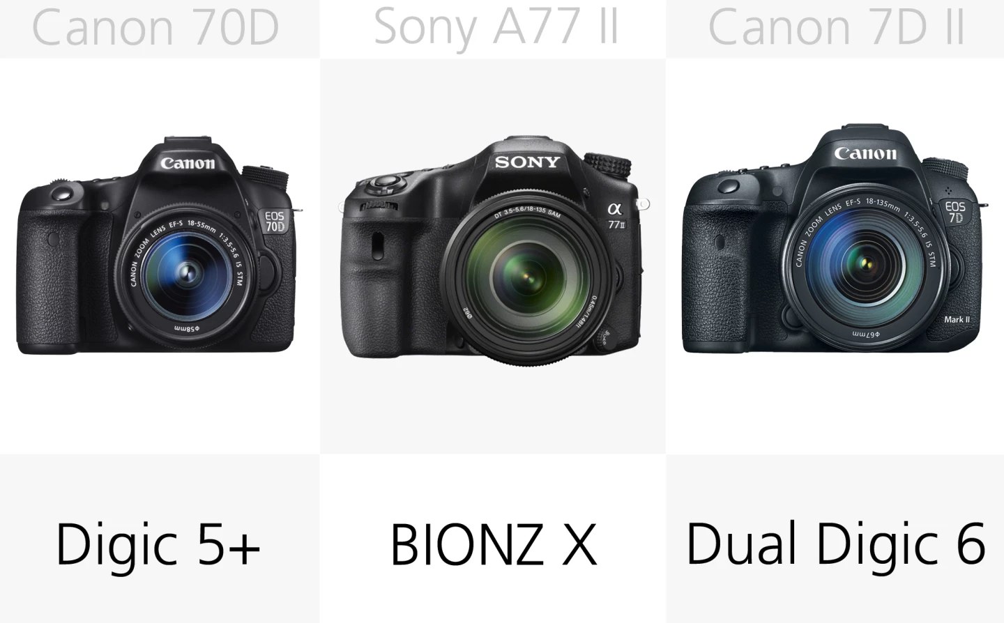 With each manufacturer using their own image processors, it can be hard know how they actually compare across brands