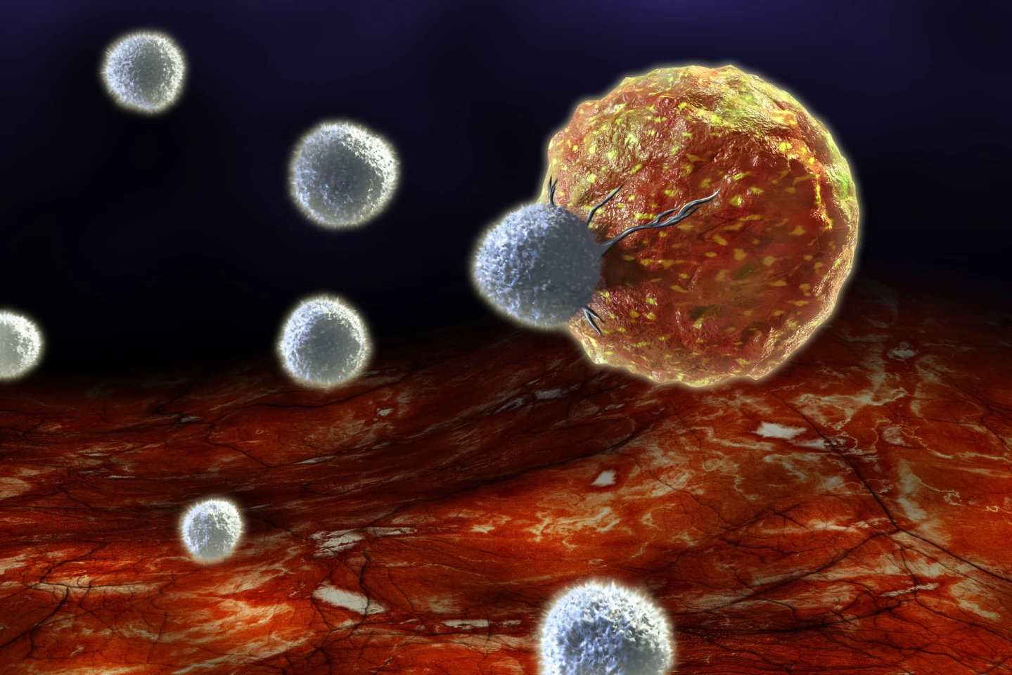 An implantable sponge delivers drugs directly to nearby tumors