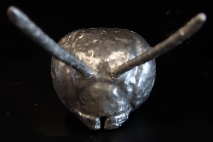 A model of a honeybee head, made using the new metalworking method inspired by the natural way insects build their shells