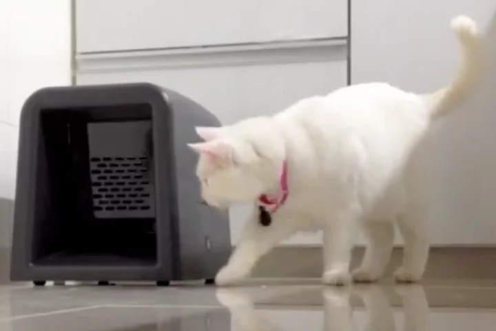 The Gatefeeder cat-feeding system