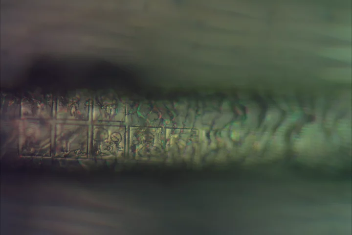 "Juanita Knits the Planet" found its way onto the hair not for its compelling narrative arc, but to showcase the potential of focused ion beaming technology