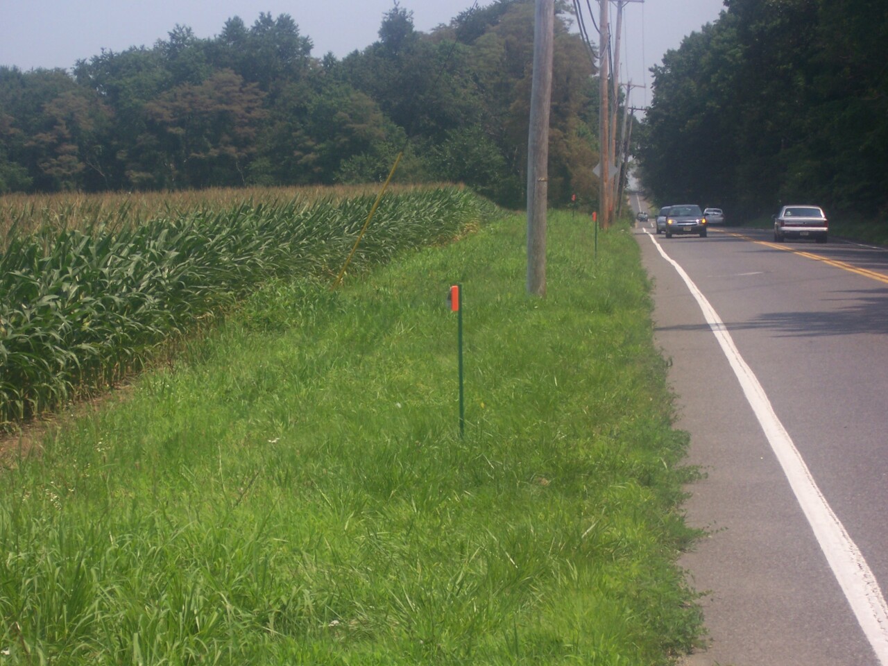 DeerDeters in place along a test stretch of road