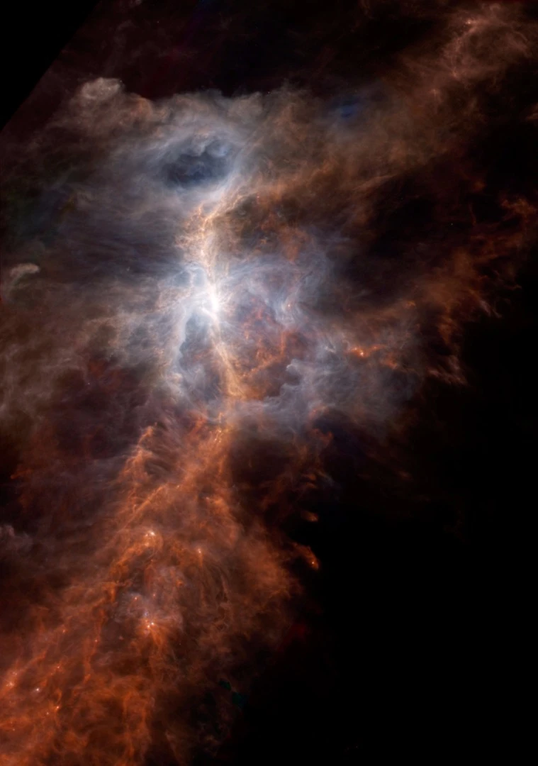 The dusty side of the Sword of Orion is illuminated in this infrared image from the European Space Agency's Hershel Space Observatory