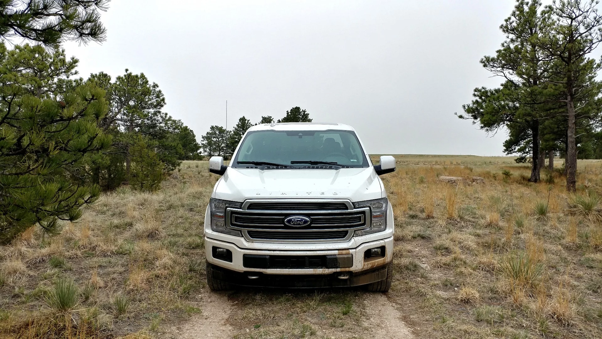 The Limited runs on 22-inch wheels and has the 450-horsepower (336 kW) turbocharged 3.5-liter engine from the Raptor model