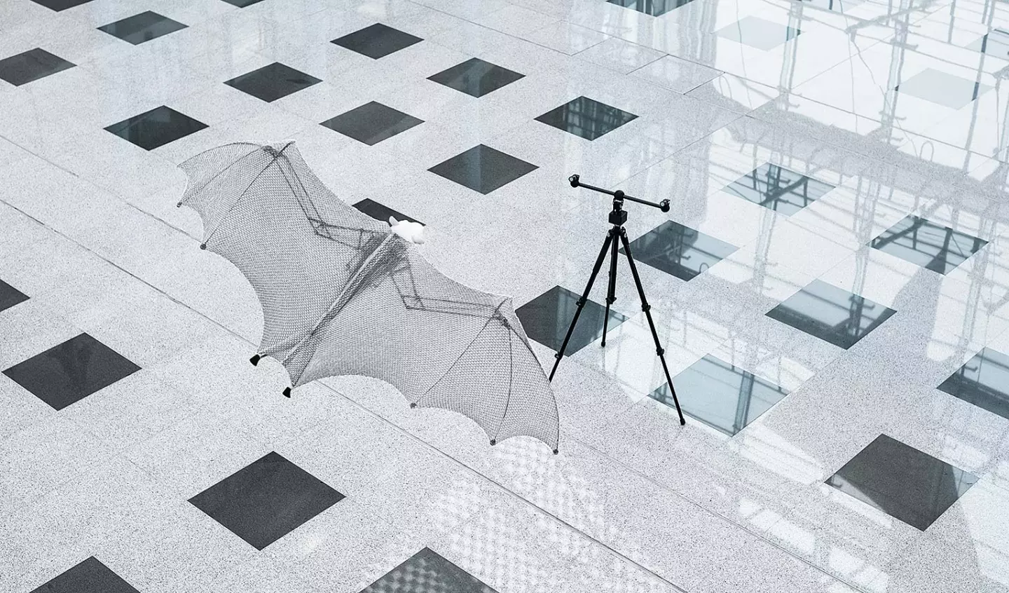 The BionicFlyingFox is tracked by two infrared cameras