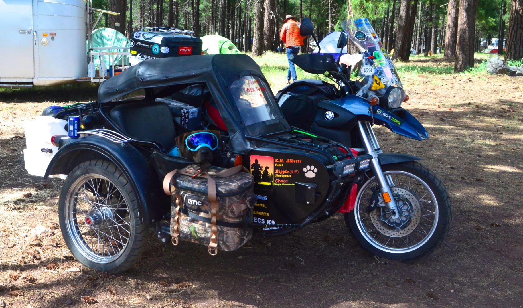 We're pretty sure this canine was playing up the cuteness for the camera .. it worked!